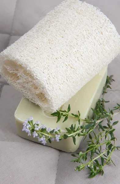 Natural lufah sponge wlth thyme soap — Stock Photo, Image
