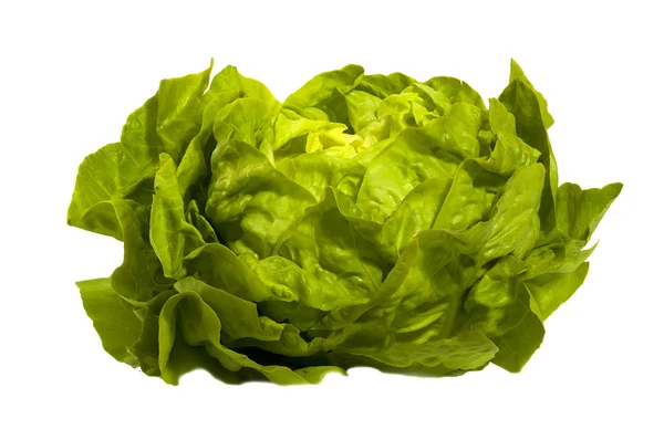 Salada verde fresca - alface isolada — Fotografia de Stock