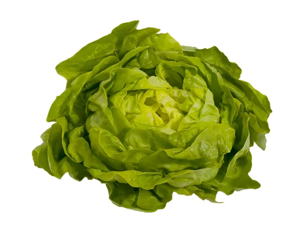 Свежий зеленый салат - салат, изолированный — стоковое фото