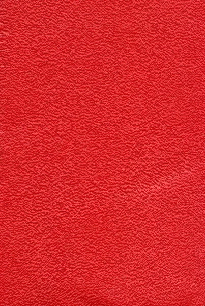 Läder texture - röd — Stockfoto