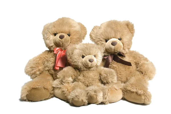 stock image Three bears