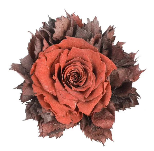 Пыльный текстильный цветок изолирован — стоковое фото