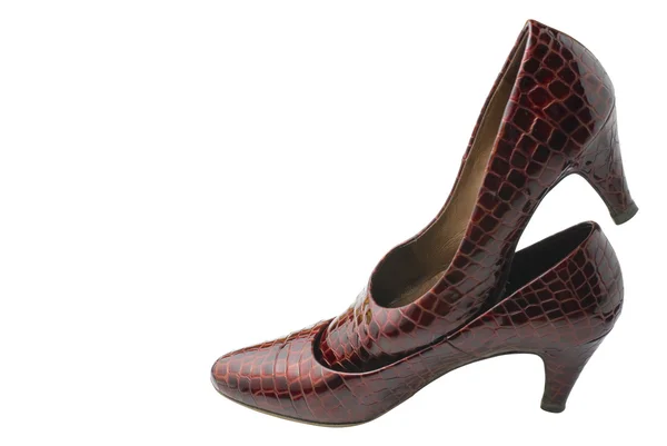 Zapatos femeninos jalá Aislados —  Fotos de Stock