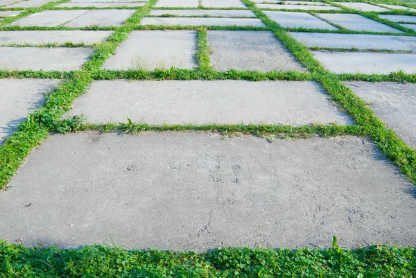 stock image Pavement with grass #2