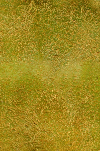 Kiwi peel | Texture — Stock Photo, Image
