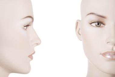 Female mannequin face | Studio isolated clipart