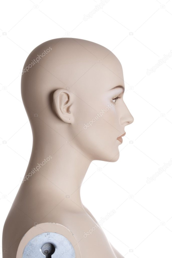 Head of the female mannequin | Studio isolated