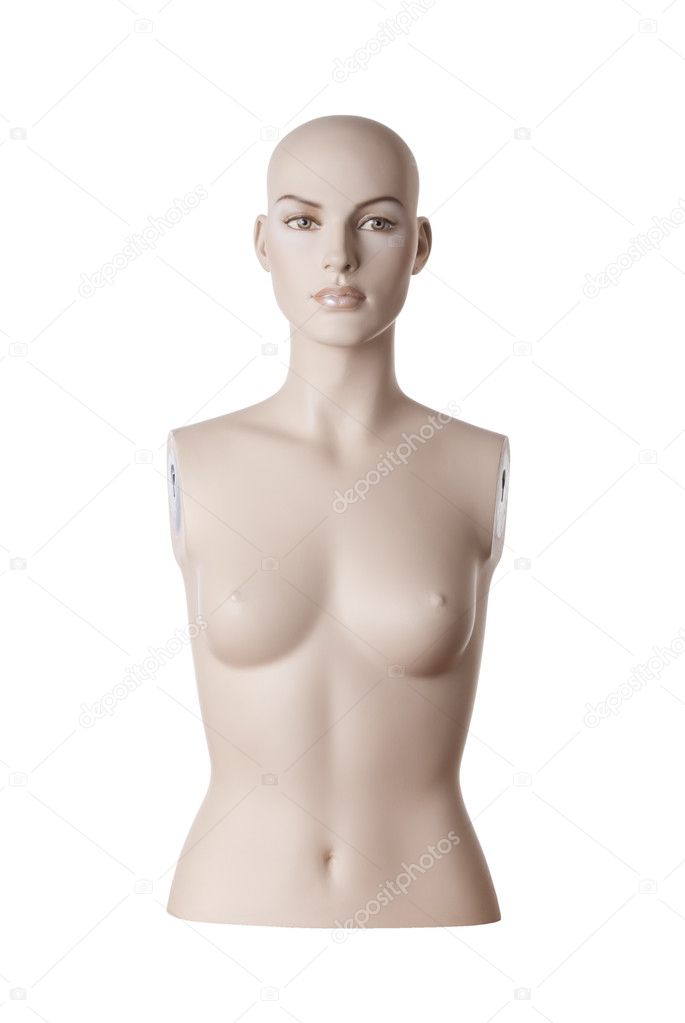 Female mannequin torso | Studio isolated