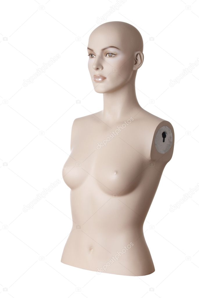 Female mannequin torso | Studio isolated