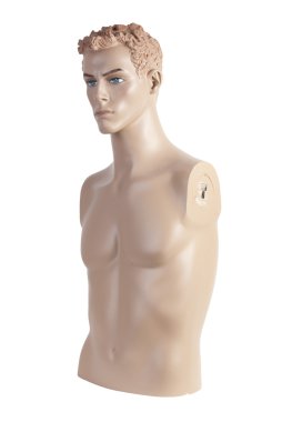 Male mannequin torso | Studio isolated clipart