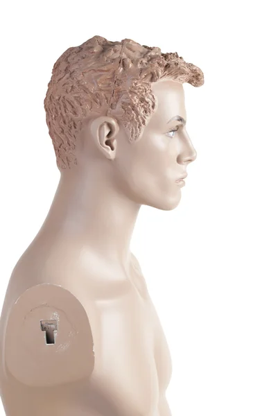 Head of the male mannequin | Studio isolated — Stock Photo, Image