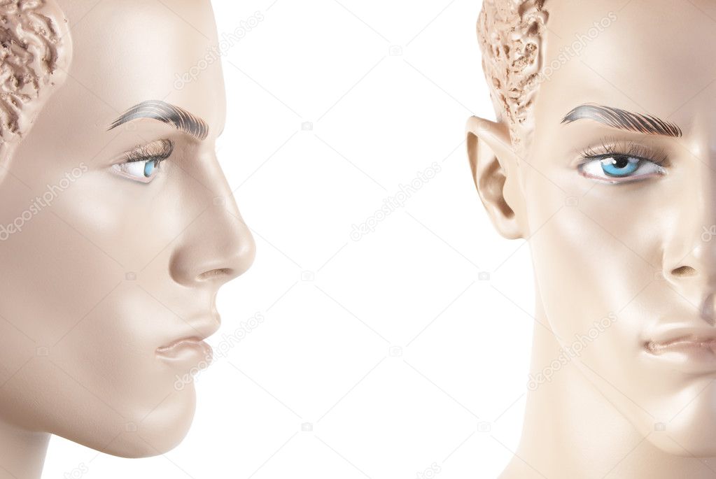 Male mannequin face | Studio isolated