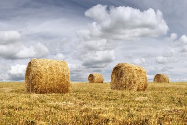 haystacks ve cennet