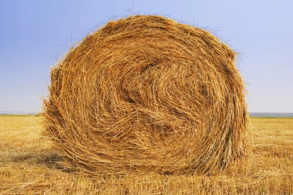 stock image Single haystack