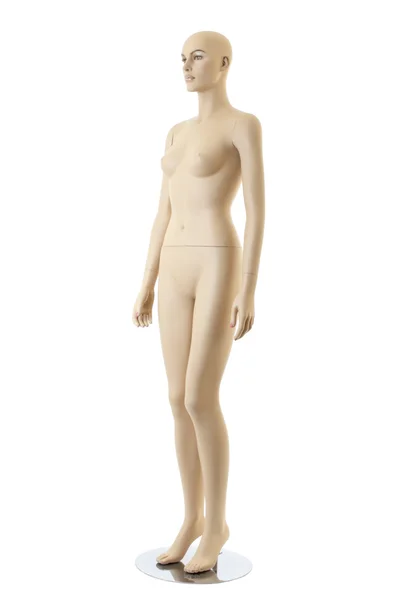 Female mannequin | Isolated — Stock Photo, Image