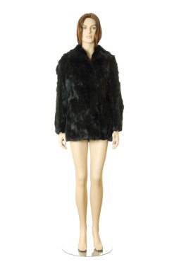 Short fur coat | Isolated clipart
