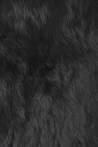 Rabbit fur :Texture — стоковое фото