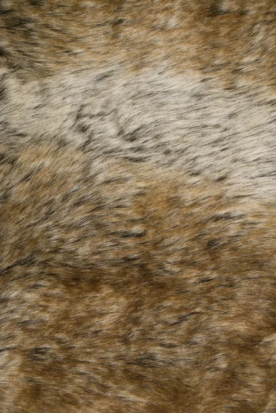 Заяц меховая подкладка — стоковое фото