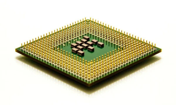 Микропроцессор процессора изолирован на белом Стоковое Фото