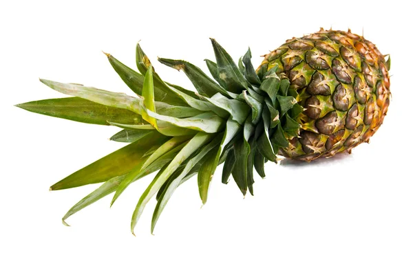 stock image Pineapple