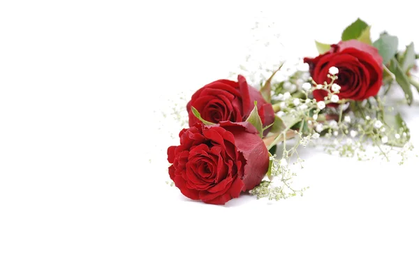 Czerwone róże Zdjęcia Stockowe bez tantiem