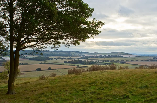 English countryside — Stock Photo, Image