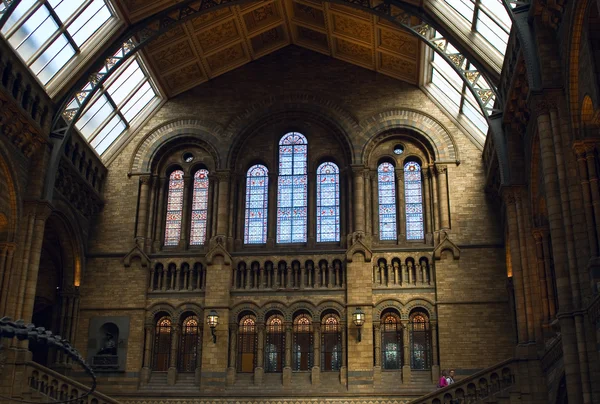 Interior del museo de Historia Natural — Foto de Stock