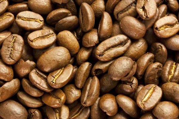 Coffee Beans Stock Image