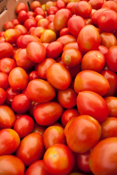 Ekologiczne pomidory czerwone — Zdjęcie stockowe