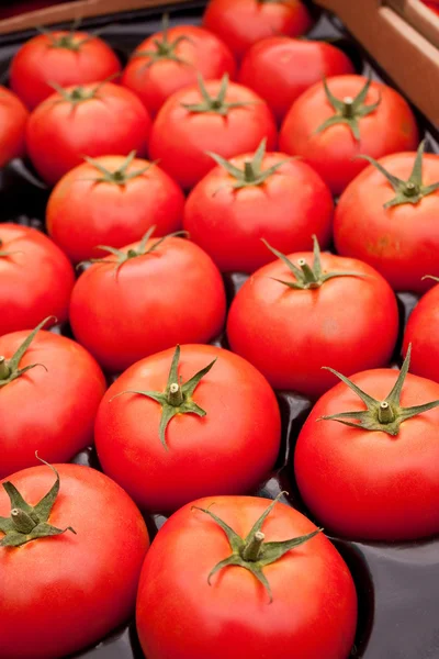 Ekologiczne pomidory czerwone — Zdjęcie stockowe