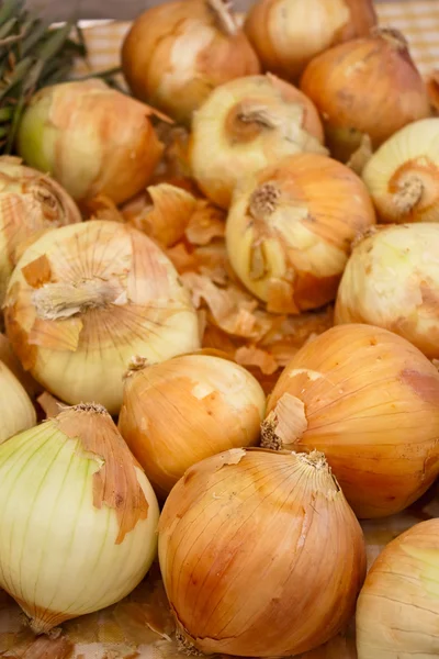 Organic Onions Stock Picture