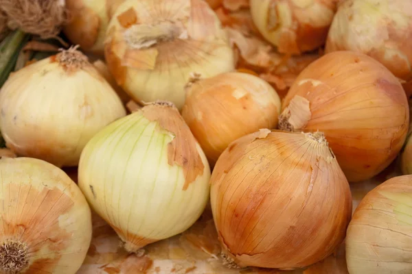 Organic Onions Royalty Free Stock Photos