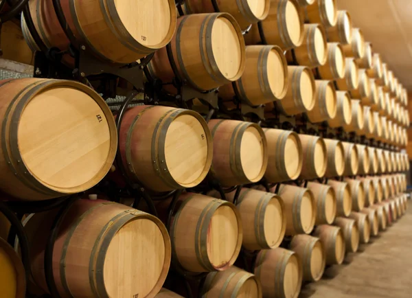 Stack of oak wine barrels — Zdjęcie stockowe