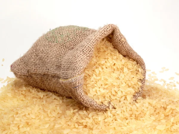Рис — стоковое фото