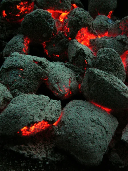 Briquettes de charbon — Photo