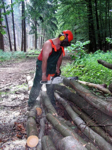 仕事で木こり — ストック写真