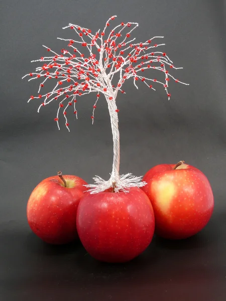 Elma ağacı — Stok fotoğraf