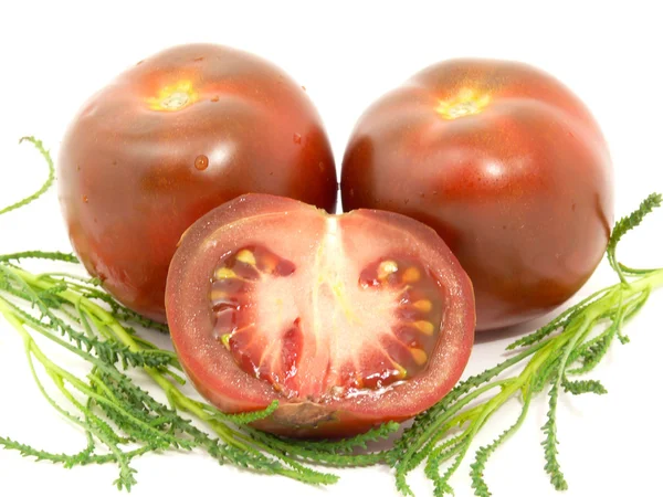 Čokoládové rajčata s olivovým bylina — Stock fotografie