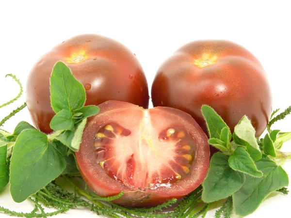 Tomates de chocolate con hierba de oliva — Foto de Stock