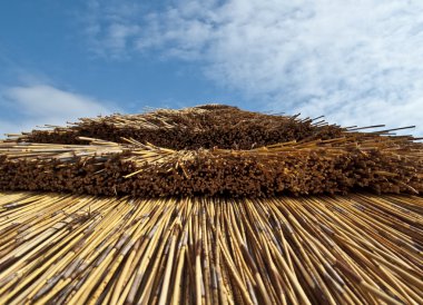 thatched çatı portre