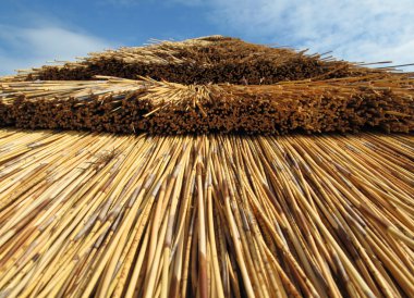 thatched çatı portre