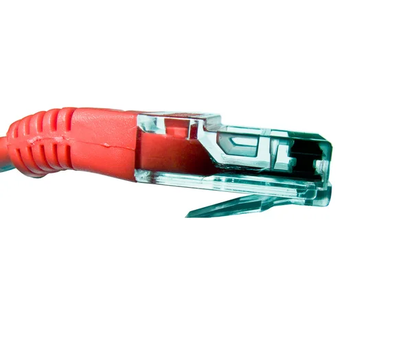 stock image Network Patch Lead - Red