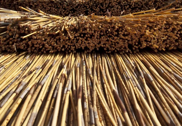 Thatched Roof Closeup — Stock Photo, Image
