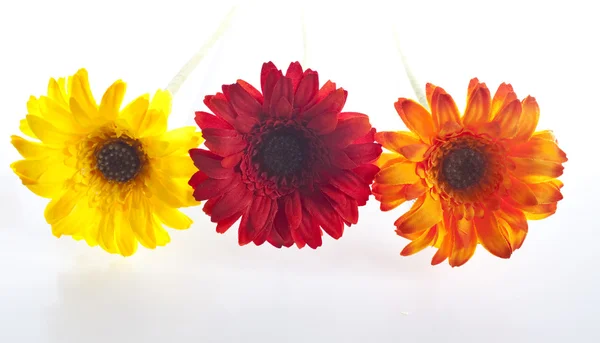Artificial flowers lined up — Stock Photo, Image