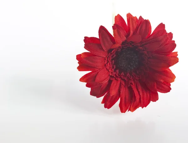 Sztuczny kwiat - jeden czerwony — Zdjęcie stockowe
