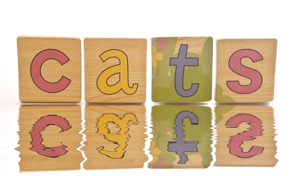 Wooden tiles - spelling CATS — Stock Photo, Image