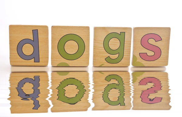 stock image Wooden tiles - spelling DOGS