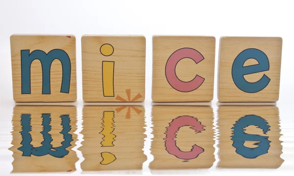 Baldosas de madera - ortografía MICE — Foto de Stock