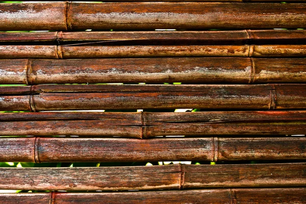 Japanese bamboo fance — Stock Photo, Image