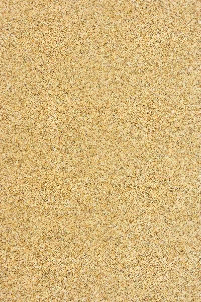 Sandy texture — Stock Photo, Image
